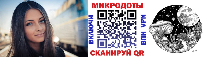 купить наркоту  Балтийск  Псилоцибиновые грибы GOLDEN TEACHER 